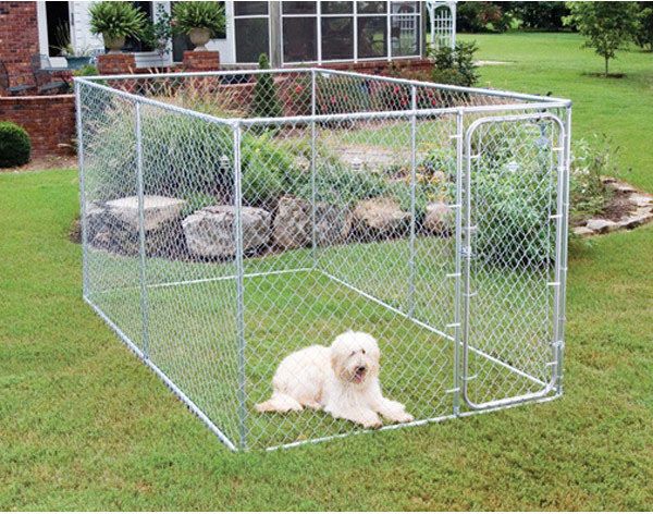 temporary electric dog fence